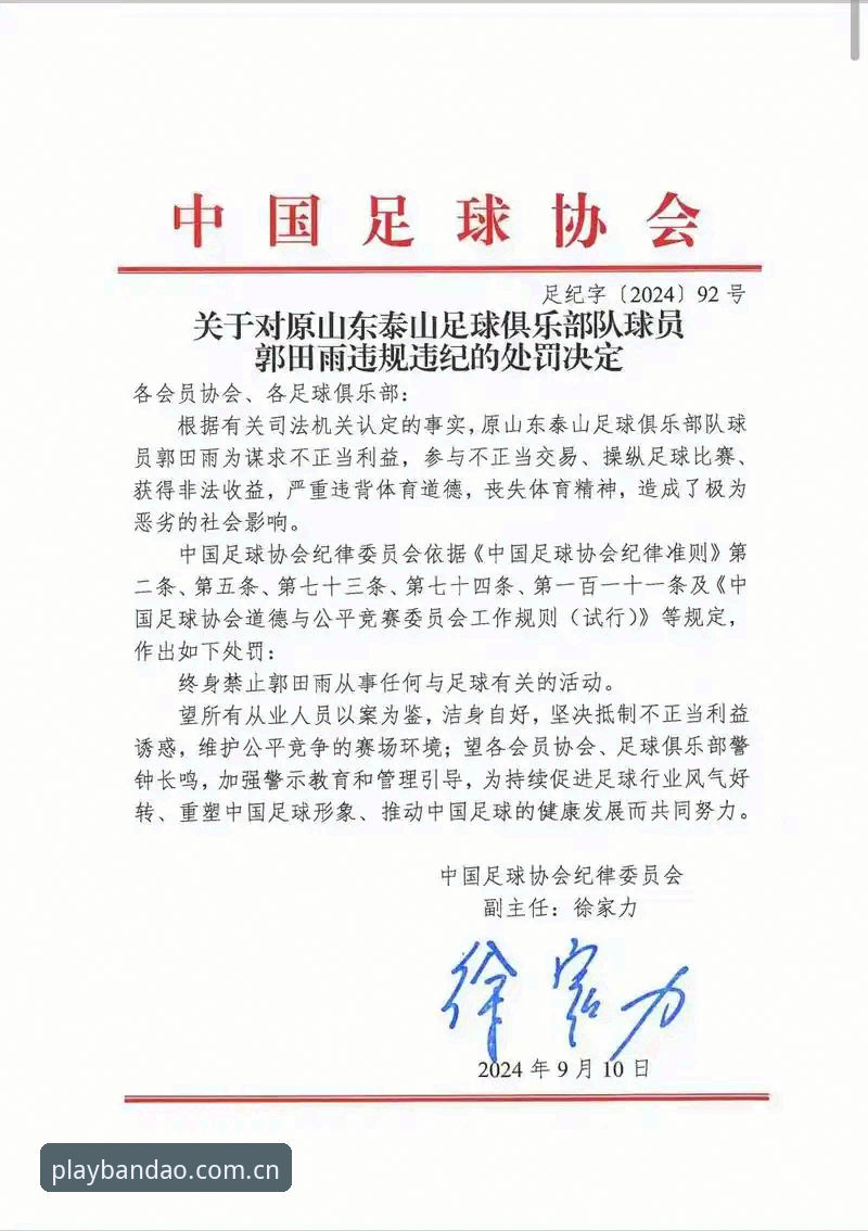 中国足协第三批禁足名单公布，如何通过半岛体育平台深度解读赛事生态？